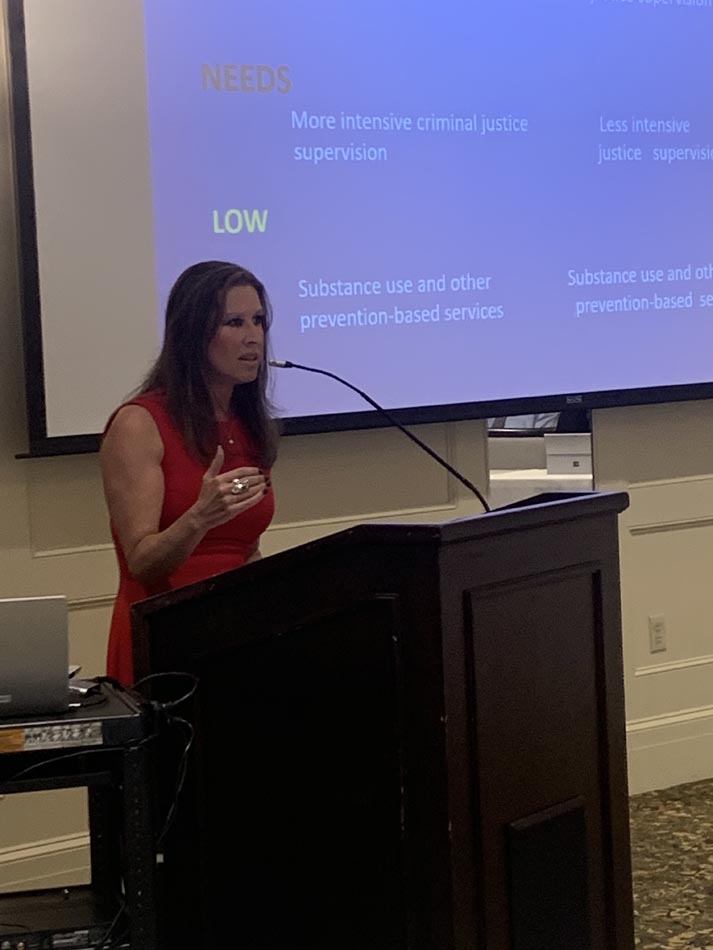 “General Purposes Of and How to Get Involved with the Specialty Courts for the 22nd JDC”, presented by Specialty Court Administer Shannon Hattier